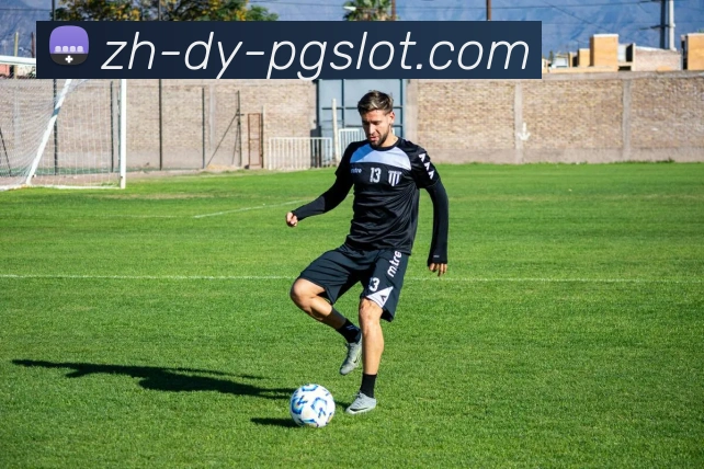 PG电子官网平台生态图