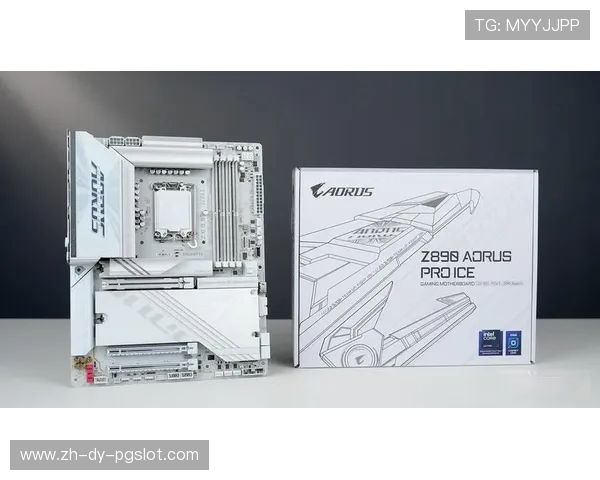 AMD打造高效生产力与极致游戏体验兼得的强劲平台