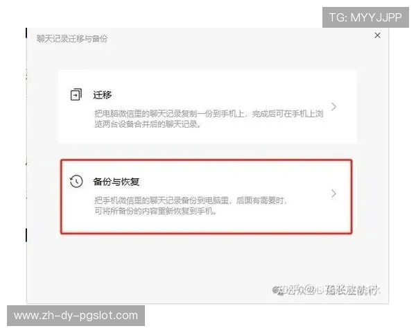 如何查看游戏内的聊天记录及相关操作步骤详解